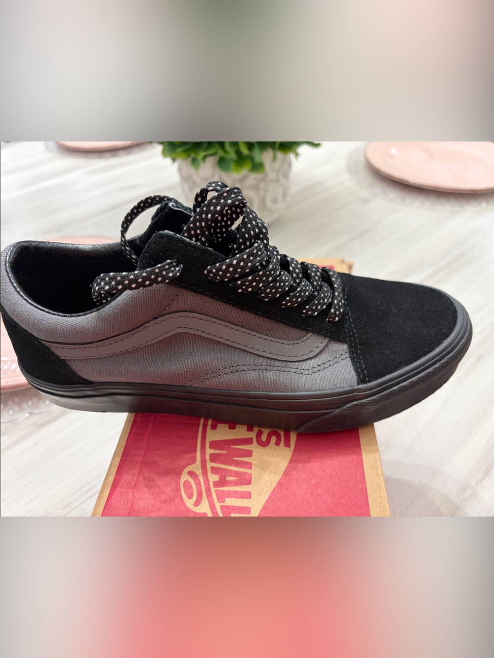 Vans Black & Gray Low-Top Skate Sneakers